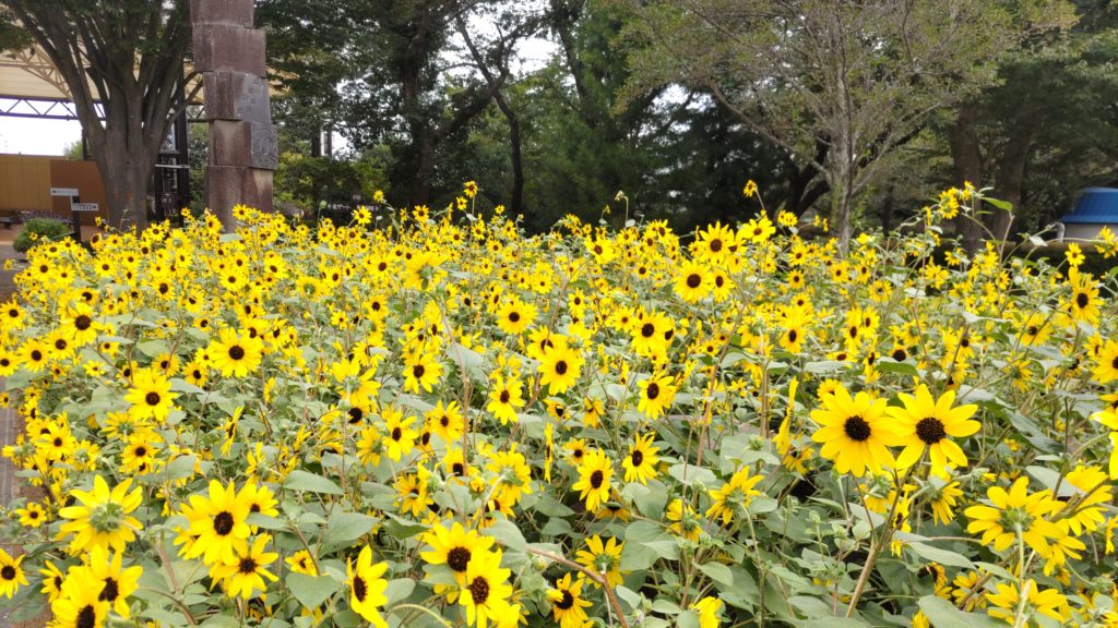 アンゼルセン公園