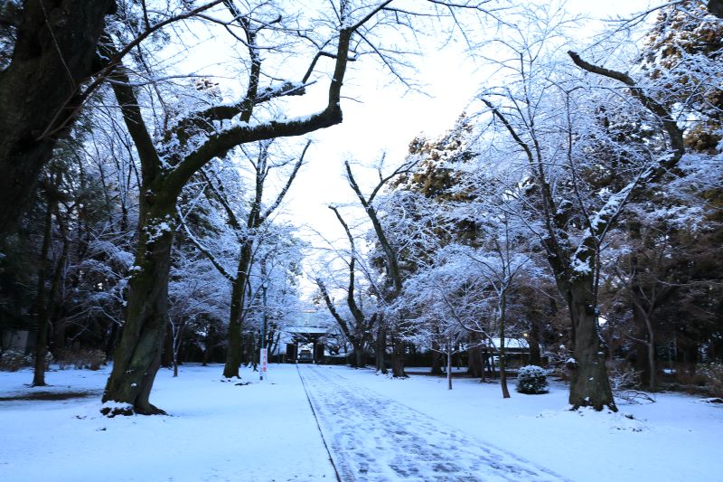 雪の東漸寺