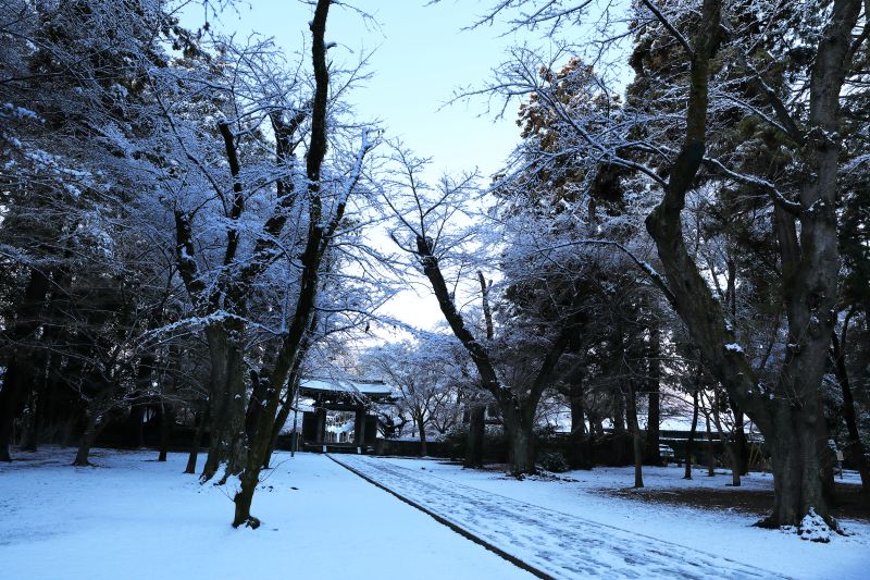雪の東漸寺