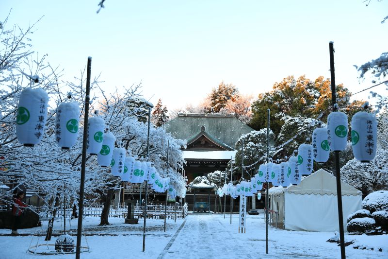 雪の東漸寺