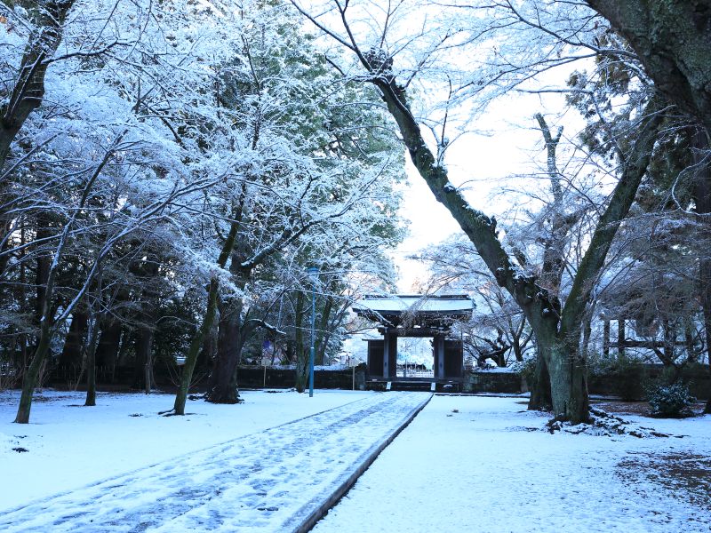 雪の東漸寺