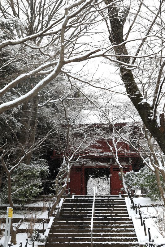 雪の本土寺

