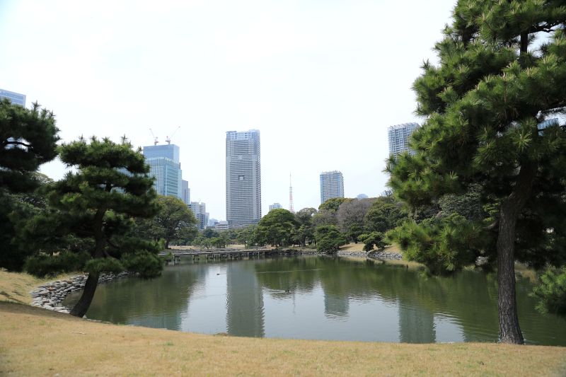 ビルの合間に静かに広がる浜離宮恩賜庭園